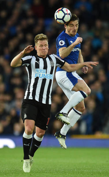 展的平台 展的平台